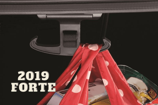 2019 Kia Forte Accessories